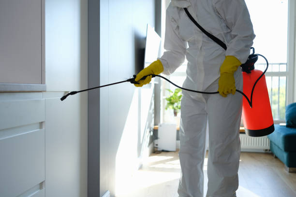 Best Attic Mold Removal  in Moosic, PA