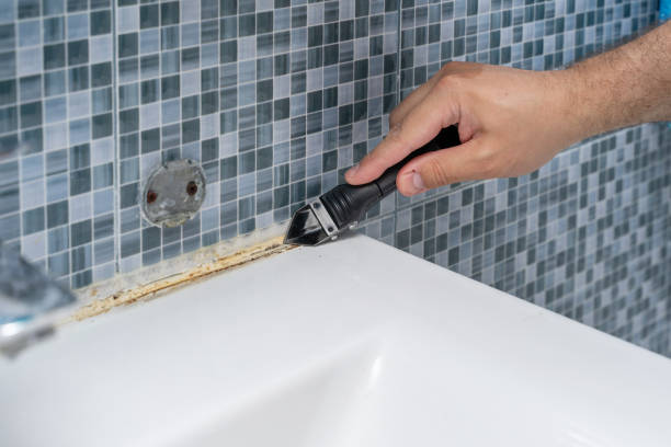Best Best Mold Removal Companies  in Moosic, PA