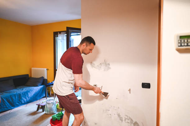 Mold Removal Process in Moosic, PA