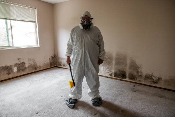 Mold Removal and Inspection in Moosic, PA